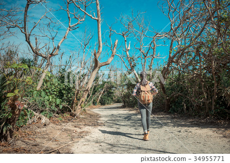 图库照片: female hiker traveler walking on forest trail