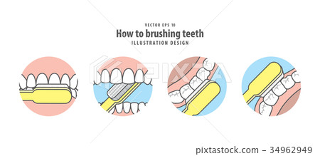 图库插图: how to brushing teeth illustration vector