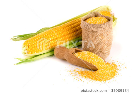 图库照片: cornmeal and corncob isolated on white background