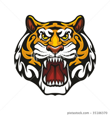 图库插图: tiger animal muzzle vector sport team mascot icon