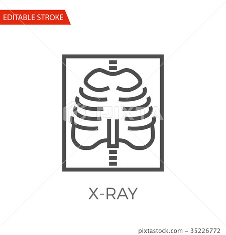 插图素材: x-ray vector icon