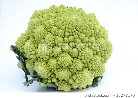 图库照片: 花椰菜romanesco