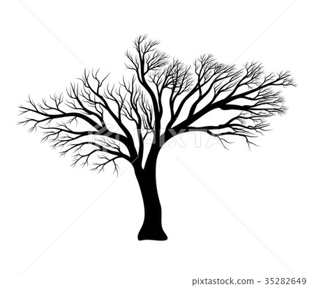 插图素材: bare tree silhouette vector symbol icon design.