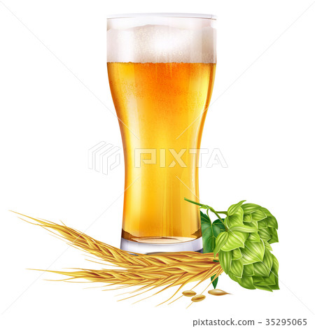 图库插图: glass of beer and hops on white background