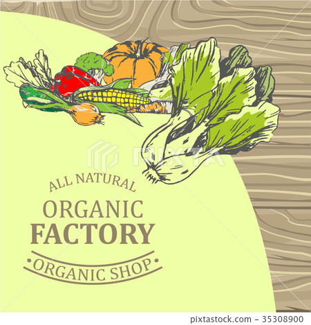 插图素材: organic factory shop with only natural products