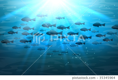 shoal,crustacean 插图素材: shoal of sea fish in ocean 查看全部