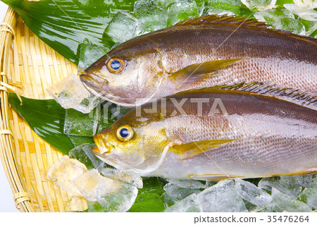 图库照片: isaki foodstuff