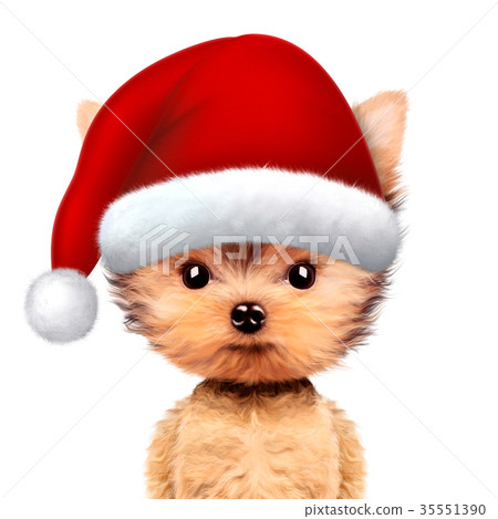 插图素材: funny dog wearing santa hat. christmas concept