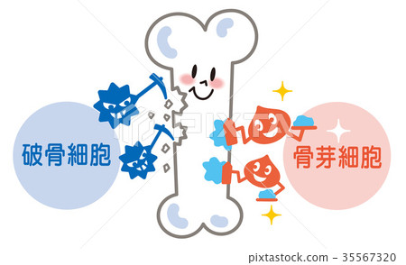 图库插图 骨破骨细胞成骨细胞例证