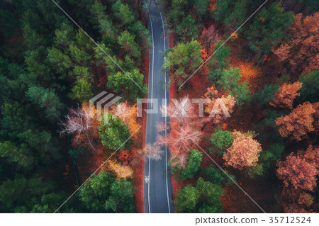 aerial,biogeochemical 图库照片: aerial view of road in beautiful autumn forest