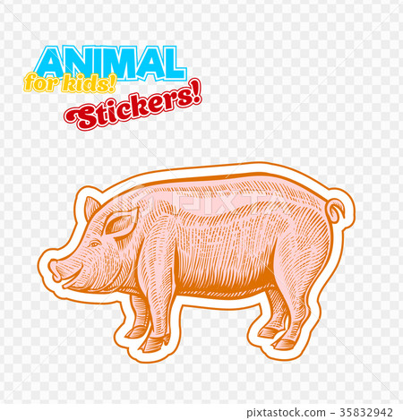 插图素材: farm animal pig or pork in sketch style on