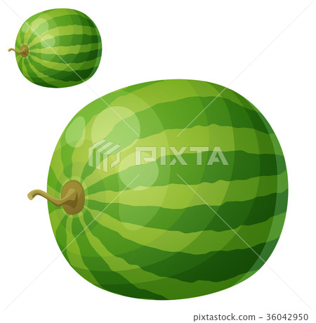 插图素材: watermelon. cartoon vector icon