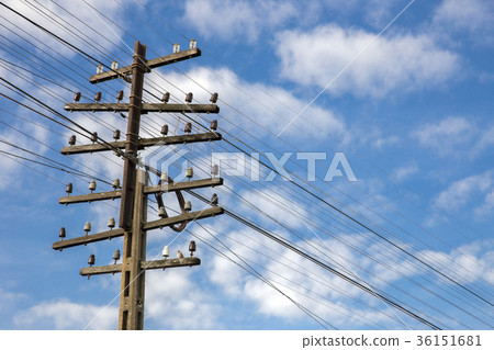 图库照片: electric and telephone cable pole