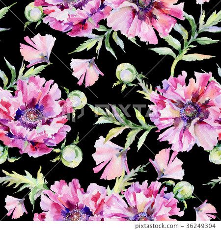 图库插图: wildflower poppy flower pattern in a watercolor