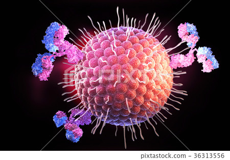 图库插图: herpes virus and antibodies