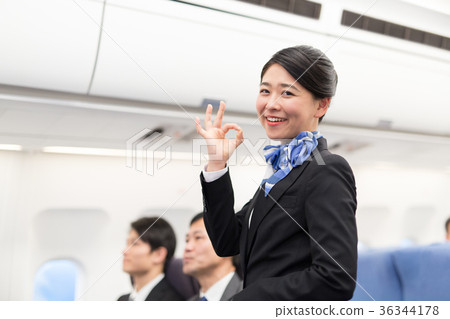 图库照片: ca flight attendant portrait