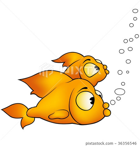 图库插图: two golden fish swimming