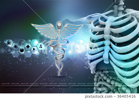 插图素材: human anatomy and caduceus sign