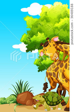 插图素材: giraffe and turtle in the park