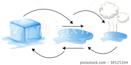 插图素材: diagram showing how water changes forms 查看全部