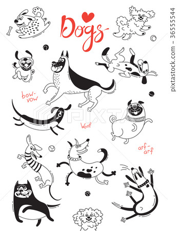 图库插图: playing dogs. funny lap-dog, happy pug, mongrels