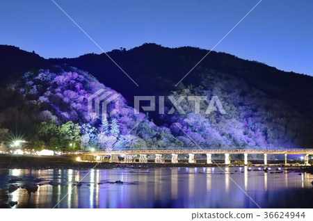 图库照片 京都岚山花路照明