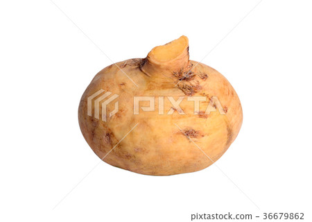 图库照片: turnip