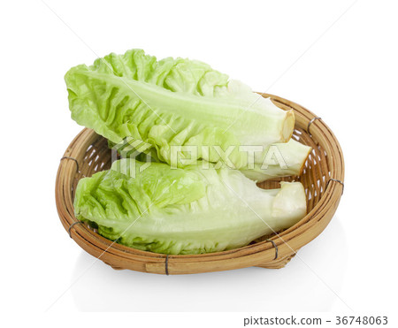 图库照片: fresh baby cos (lettuce) on white background