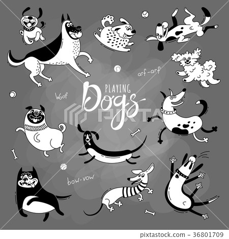 playing dogs. funny lap-dog, happy pug, mongrels 36801709