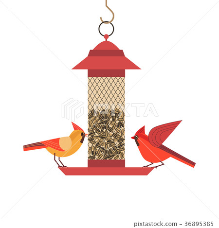 插图素材: bird feeding poster