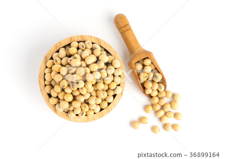 图库照片: white bean on cup isolated top view