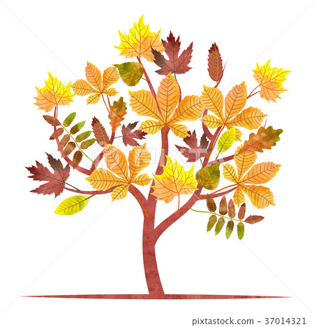 插图素材 abstract autumn tree