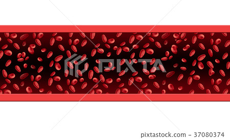 图库插图: red blood cells