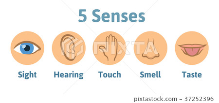 插图素材 set of five human senses icon vision hearing