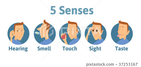 图库插图: set of five human senses icon: hearing, smell