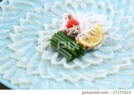 图库照片: 河豚生鱼片