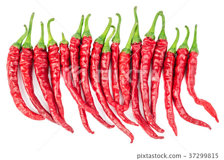 图库照片: chili peppers in row isolated