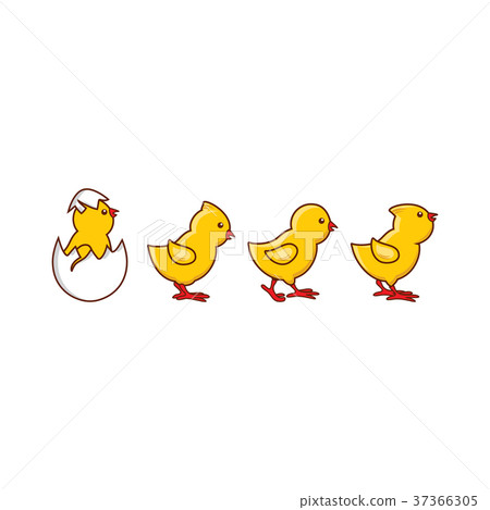 插图素材: vector flat cute chick hatching