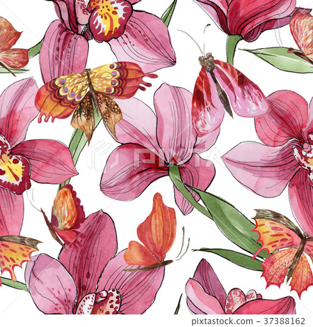 orchidflower,flowerfellfrisk 图库插图: wildflower orchid flower pattern in a watercolor