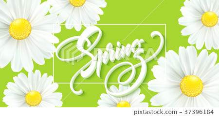 hellospring艺术字,spring艺术字 图库插图: calligraphic inscription hello spring with spring