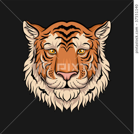 插图素材: head of tiger, face of wild animal hand drawn