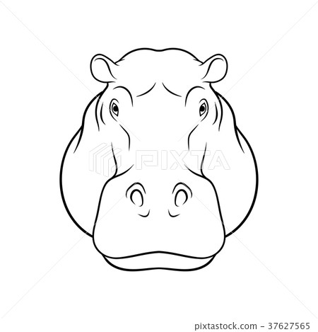 图库插图: sketch of hippopotamus head, portrait of forest