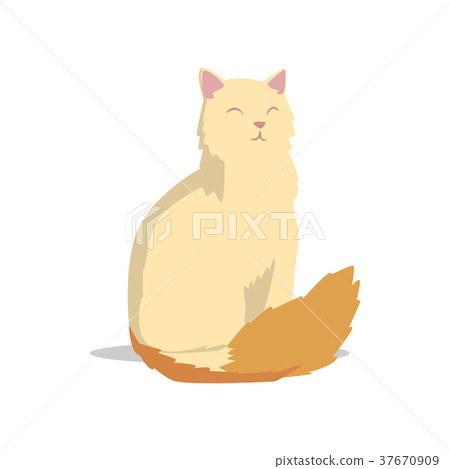 插图素材: long-haired turkish angora cat with pink ears and 查看