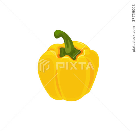 插图素材 fresh sweet yellow pepper cartoon vector