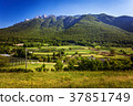 图库照片: rural countryside landscape in tuscany, italy