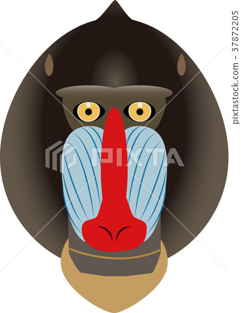 图库插图: 山魈