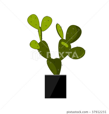 插图素材: prickly pear cactus in pot, mexican plant