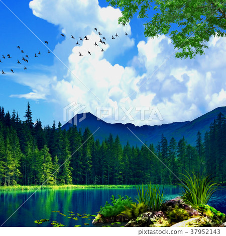 插图素材: 风景拼贴画艺术/森林和湖