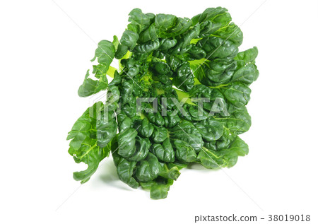 照片素材(图片): chinese flat cabbage (brassica chinensis)