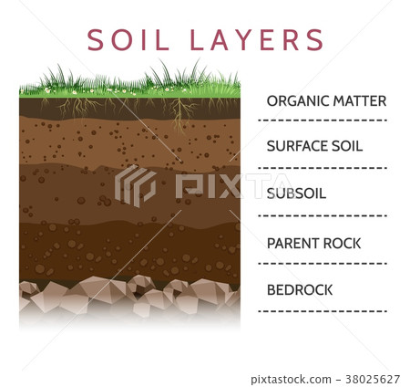 图库插图: soil layer scheme with grass